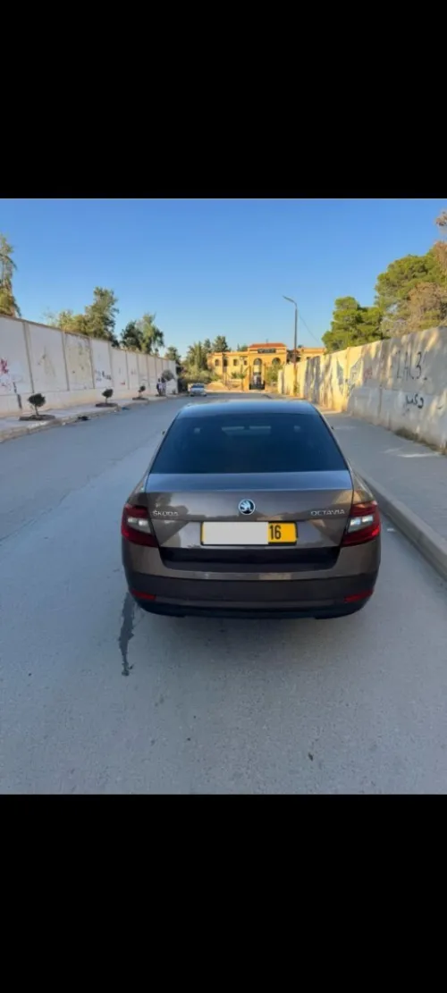 Skoda Octavia 2019 Clever