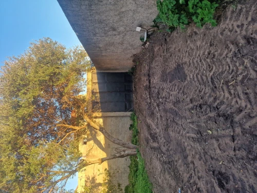 Vente Villa Alger Hraoua