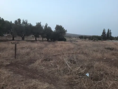 Vente Terrain Tlemcen Ain fezza