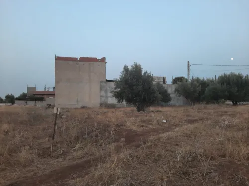 Vente Terrain Tlemcen Ain fezza