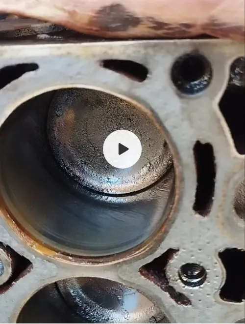 Moteur alto suzuki