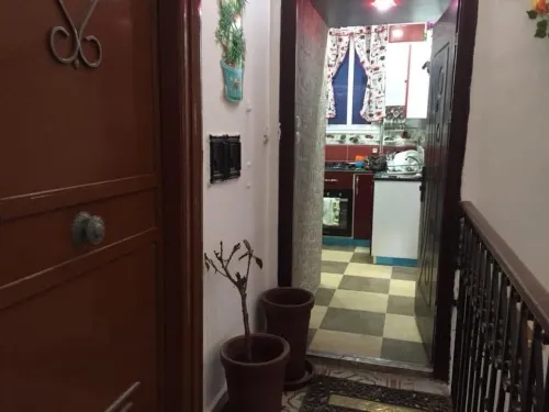 Location Appartement Studio Alger Alger centre