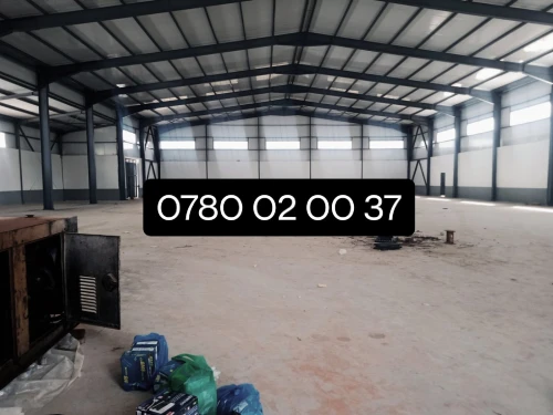 Location Hangar - Usine Alger Les eucalyptus