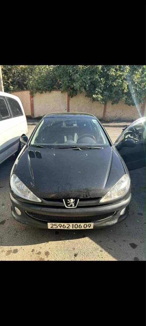 Peugeot 206 2006 206