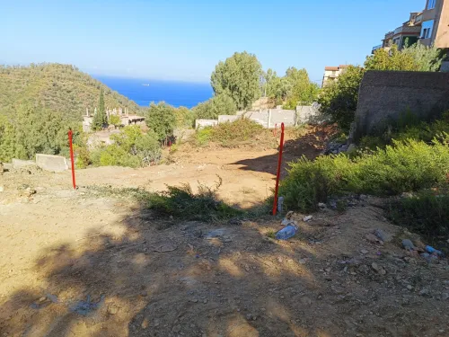Vente Terrain Skikda Skikda