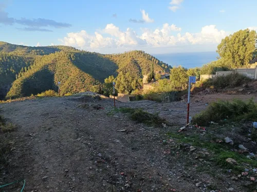 Vente Terrain Skikda Skikda