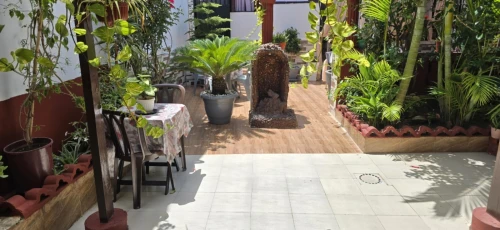 Location Appartement Studio Alger Staoueli