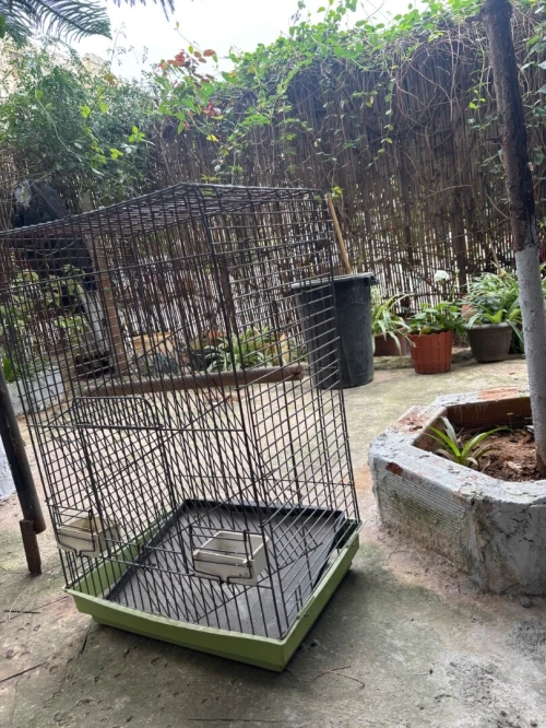 Caja