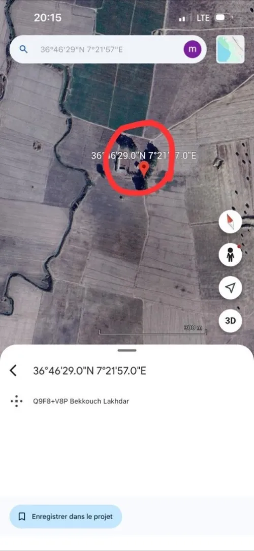 Vente Terrain Agricole Skikda Ben Azzouz