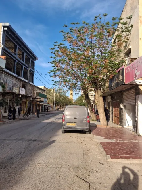 Location Local Aïn Defla Khemis miliana