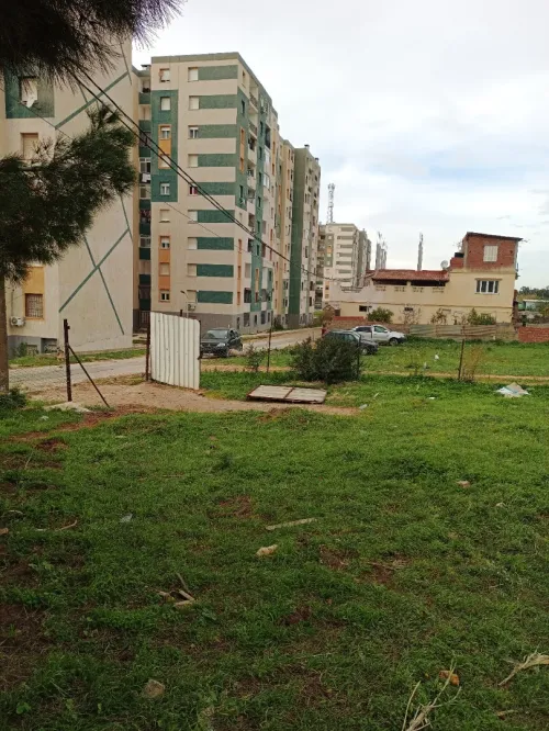 Vente Terrain Alger Ouled fayet
