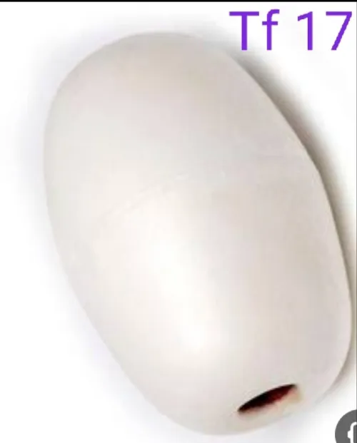 Article de pêche 
