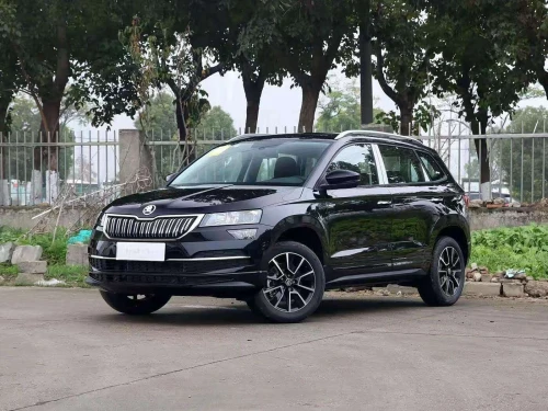 Skoda Karoq 2025 full options