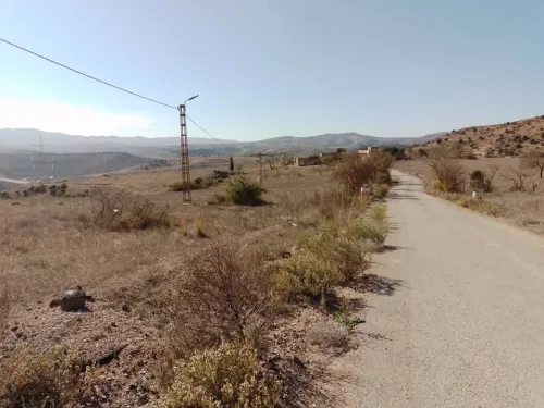 Vente Terrain Tlemcen Dar yaghmouracene