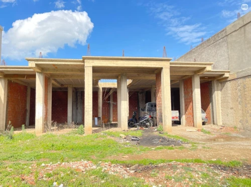 Vente Terrain Blida Chiffa