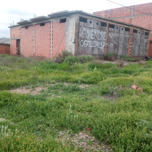 Vente Terrain Batna Ouyoun el assafir