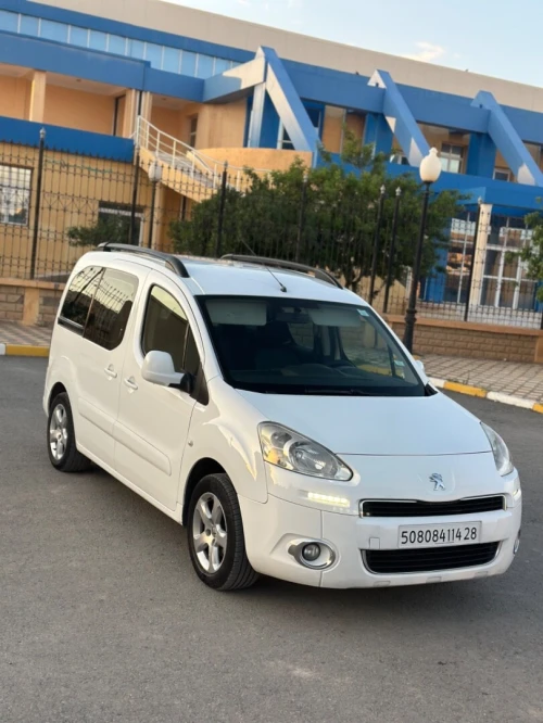 Peugeot Partner 2014 Tepee