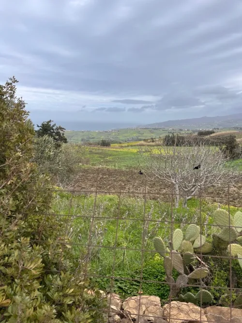 Vente Terrain Agricole Boumerdès Dellys