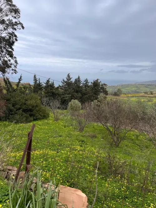 Vente Terrain Agricole Boumerdès Dellys
