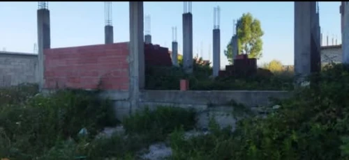 Vente Terrain Skikda Cheraia