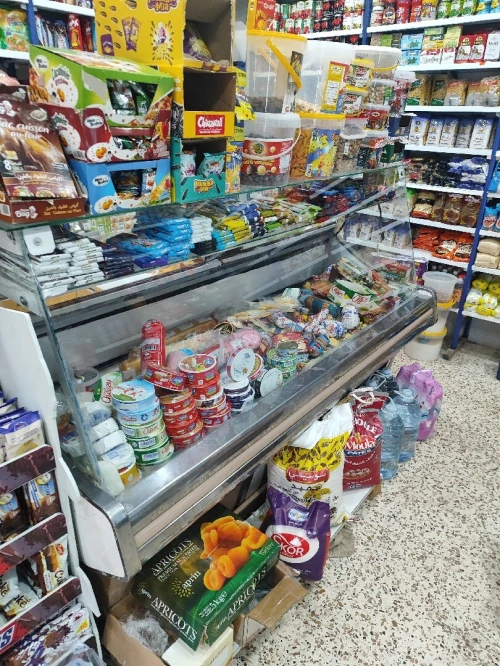Frigo presentior