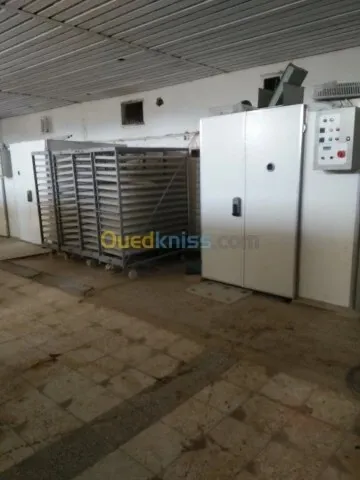 Vente Terrain Agricole Guelma Nechmaya
