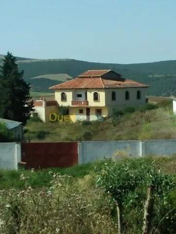 Vente Terrain Agricole Guelma Nechmaya