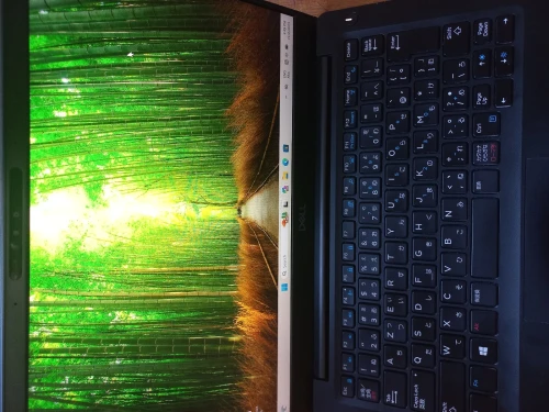 Dell latitude 7390