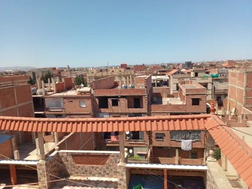 Vente Villa Alger Les eucalyptus