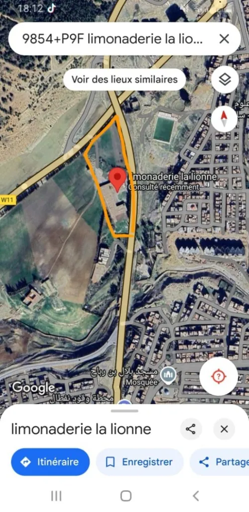 Vente Terrain Tiaret Tiaret