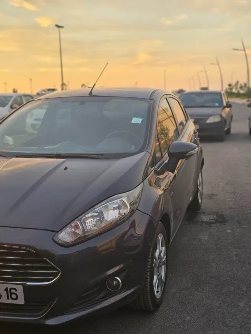 Ford Fiesta 2014 Trend Look