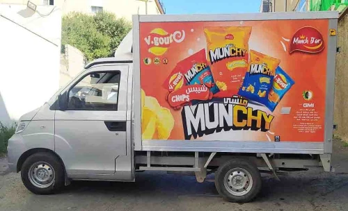 conteneur sur TIRSAM, DFSK, CHERY,PICK-UP(HILUX-NAVARA-B50..)...