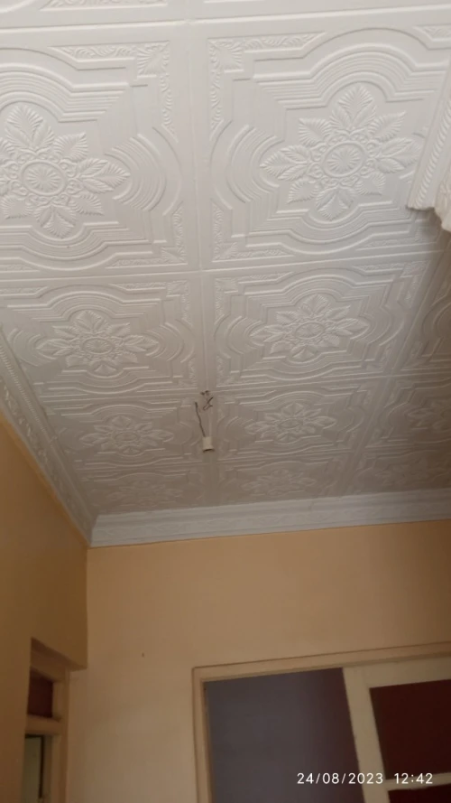 Vente Niveau De Villa F3 El Tarf Ben mehdi