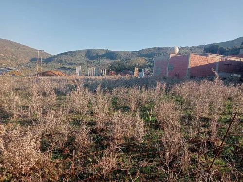 Vente Terrain Boumerdès Ammal