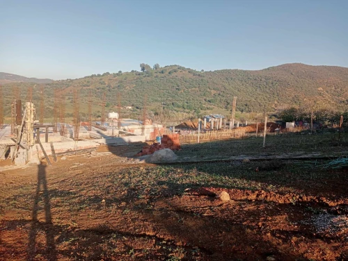 Vente Terrain Boumerdès Ammal