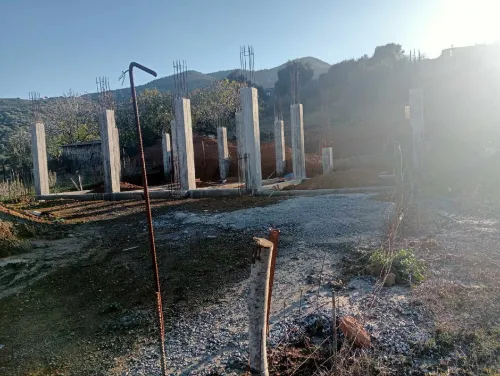 Vente Terrain Boumerdès Ammal
