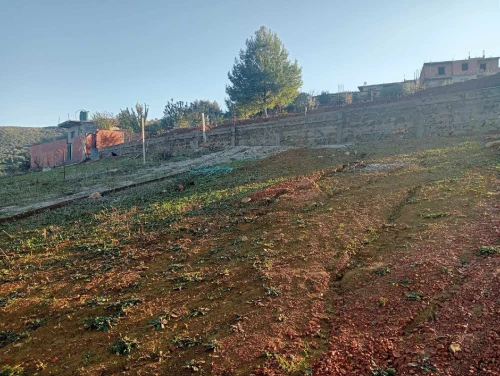 Vente Terrain Boumerdès Ammal