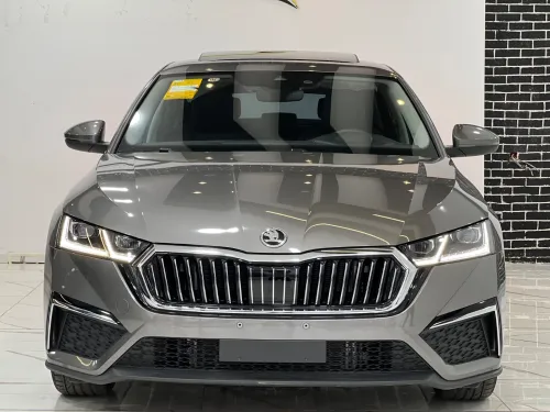 Skoda Octavia 2025 Pro