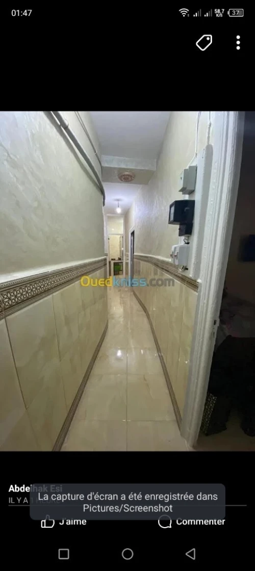 Location Appartement F3 Alger Alger centre