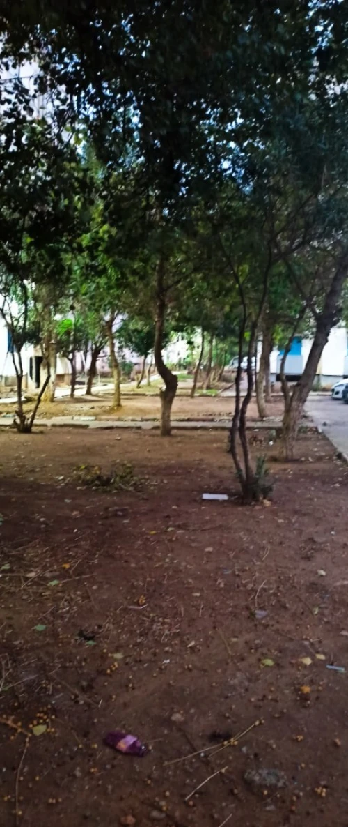 Vente Appartement F3 Alger Bordj el kiffan
