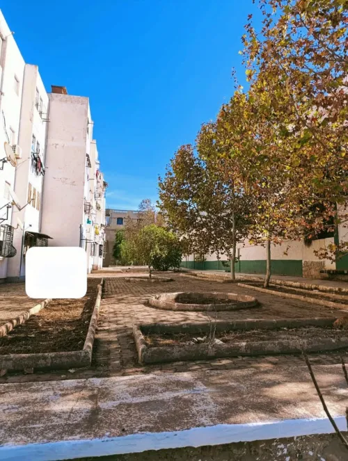 Vente Appartement F3 Aïn Témouchent Ain temouchent