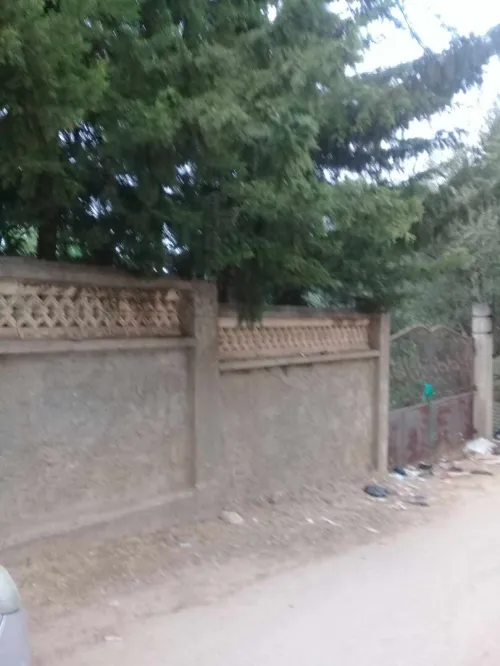 Vente Terrain Jijel Ziama mansouriah