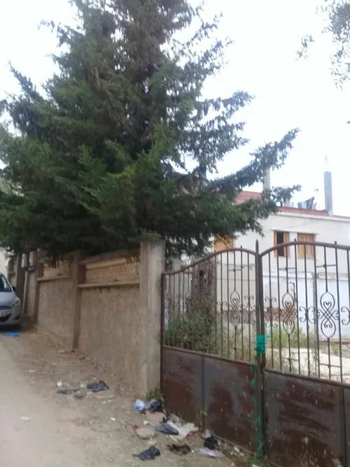 Vente Terrain Jijel Ziama mansouriah