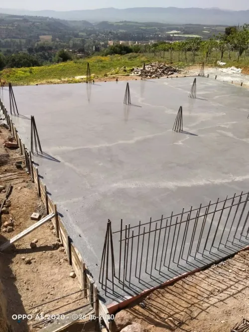 Vente Terrain Tipaza Nador