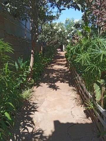Vente Terrain Alger Bordj el bahri