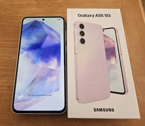 Samsung Galaxy A55 256 giga (Double sim)