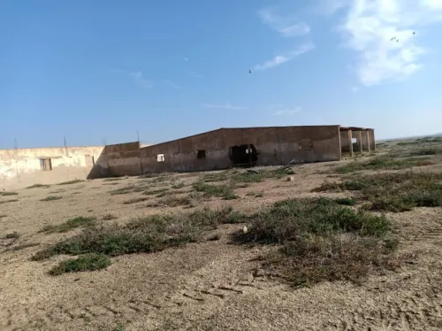 Vente Terrain Agricole Aïn Témouchent Oued sabah