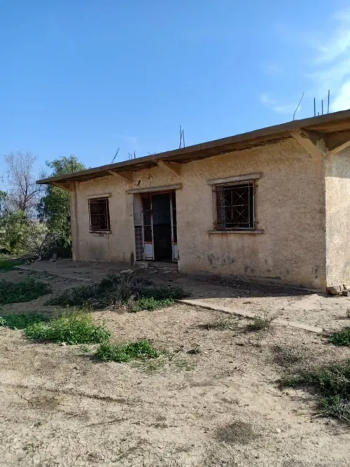 Vente Terrain Agricole Aïn Témouchent Oued sabah