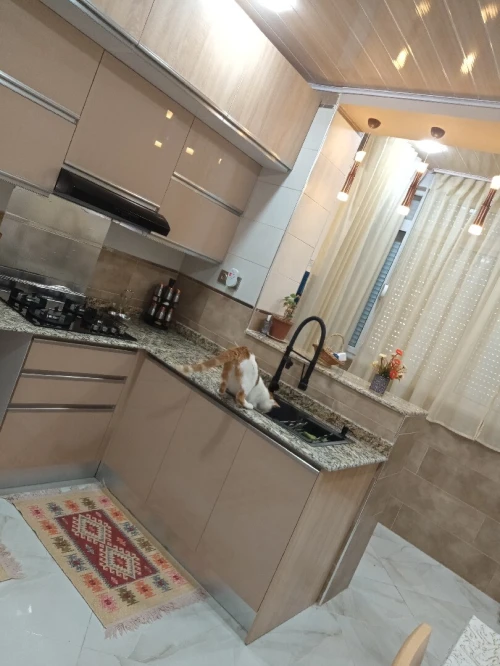 Vente Appartement F3 Constantine Constantine