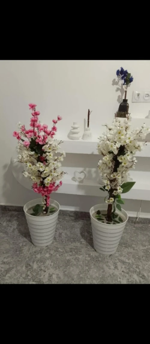 Plants arteficilles اشجار زينة 